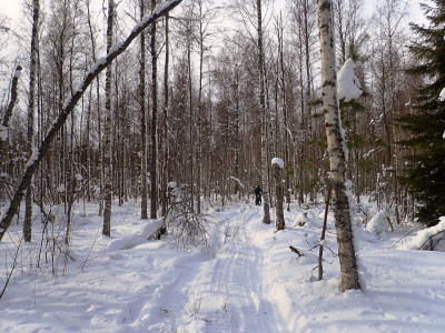 P22501780.jpg