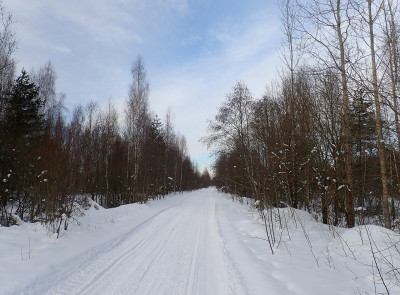 P22502430.jpg