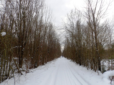 P22700130.jpg
