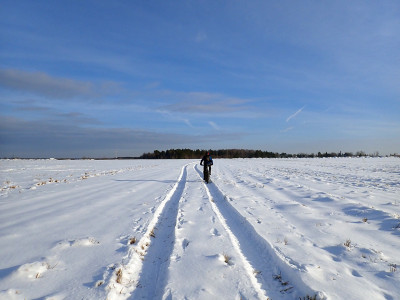 P22701630.jpg