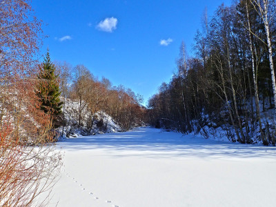 P31701640.jpg