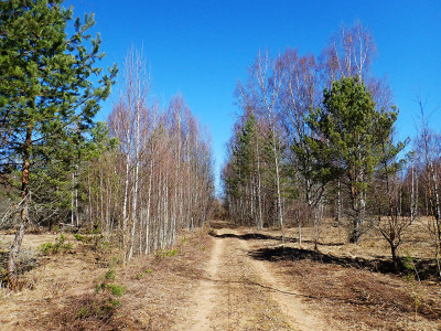 P40201390.jpg