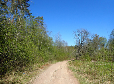 P51600130.jpg