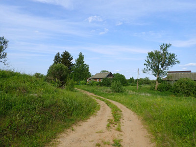 P60505560.jpg