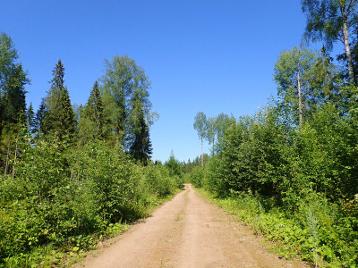 P71801520.jpg