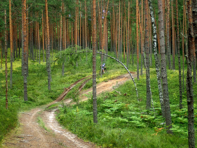 P72205370.jpg