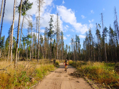 P90901830.jpg (730.07 КБ) 2909 просмотров P90901830.jpg