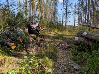 PXL_20250909_131955726_7.jpg (871.63 КБ) 2909 просмотров PXL_20250909_131955726_7.jpg