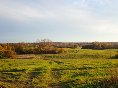 PA0907200.jpg