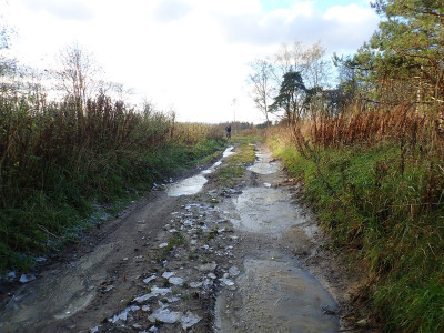 PA1801530.jpg
