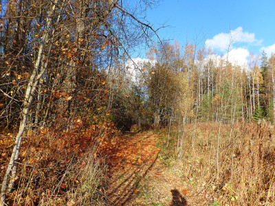 PA1801810.jpg