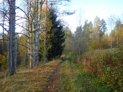 PA1801710.jpg