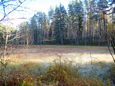 PA1801840.jpg