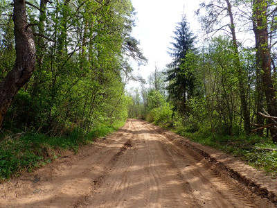 P51201120.jpg