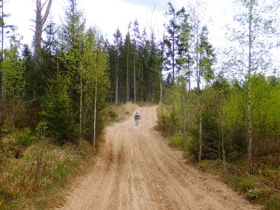 P51201340.jpg