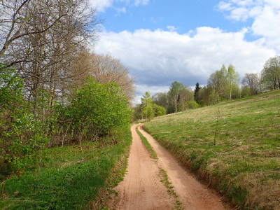 P51203870.jpg