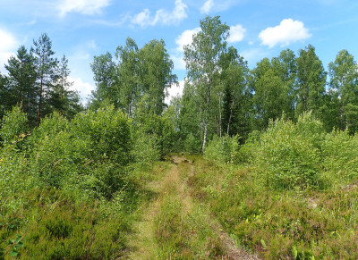 P71001310.jpg