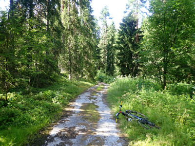 P71002880.jpg