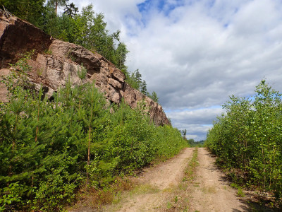P72000230.jpg