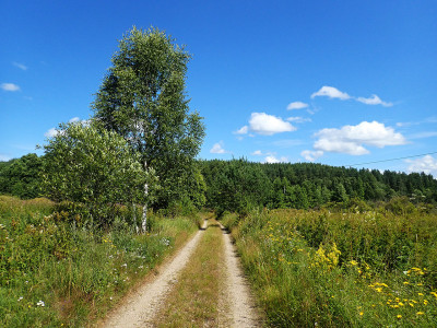 P72501230.jpg