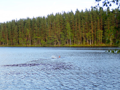 P72503450.jpg
