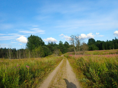 P72503600.jpg