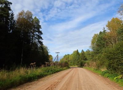 P91607830.jpg