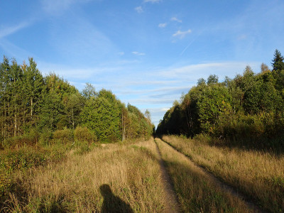 P91608050.jpg