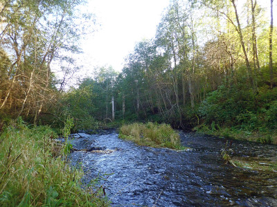 P91608140.jpg