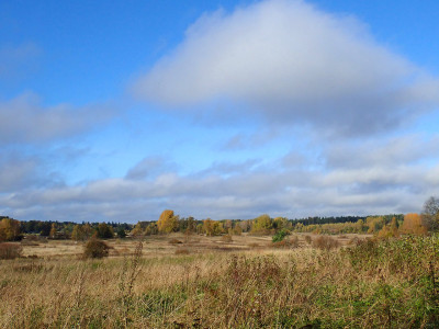 P92800480.jpg