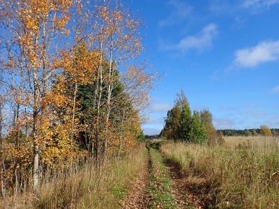P92800650.jpg
