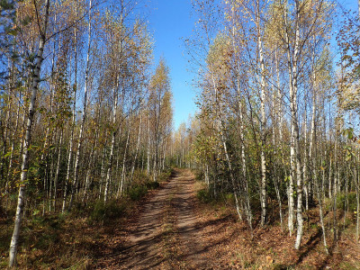 P92801330.jpg
