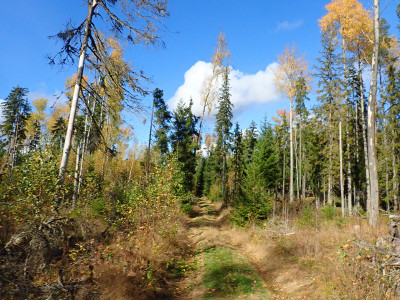 P92801590.jpg