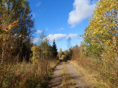 P92801690.jpg