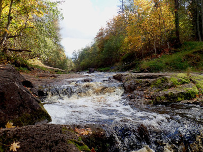 P92802640.jpg