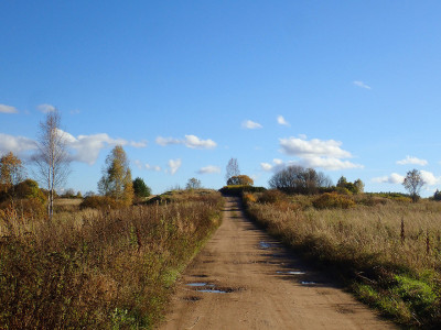 P92803220.jpg
