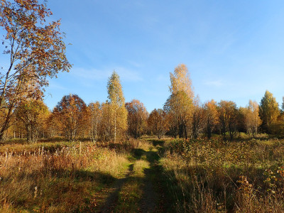 P92803840.jpg