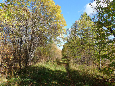 PA0600670.jpg
