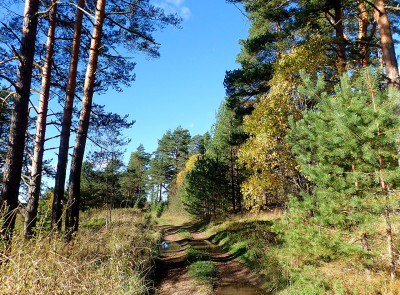 PA0600760.jpg