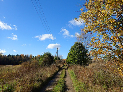 PA0600820.jpg