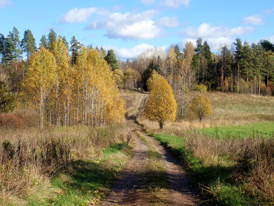 PA0601080.jpg