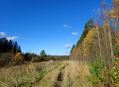 PA0601120.jpg