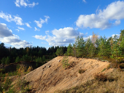 PA0601780.jpg