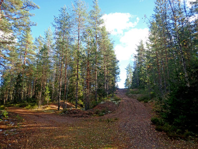 PA0601560.jpg