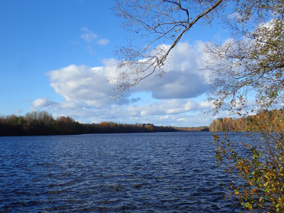 PA0602150.jpg
