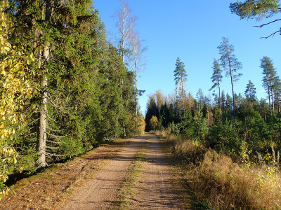 PA0602620.jpg