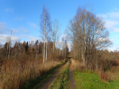 PA1801930.jpg