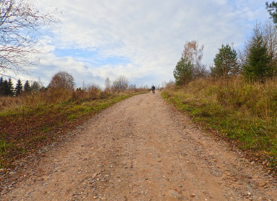 PA2201910.jpg