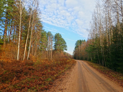 PA2201320.jpg